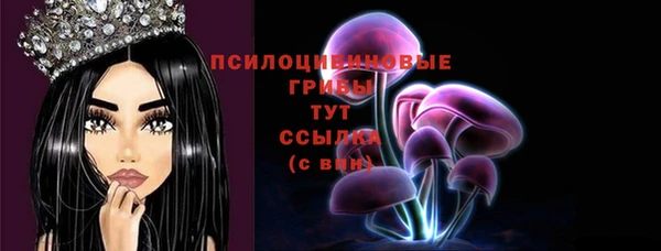 винт Армянск