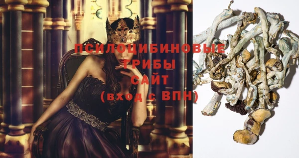 прущий лед Арсеньев